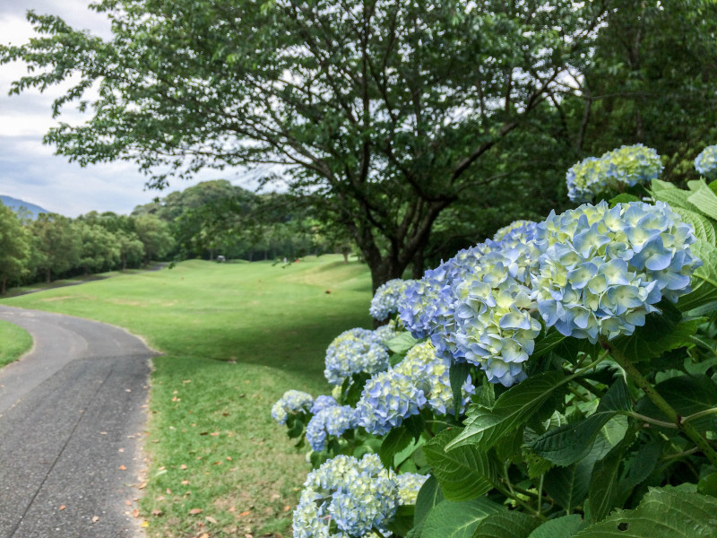 the queenshill golf club 201605 3